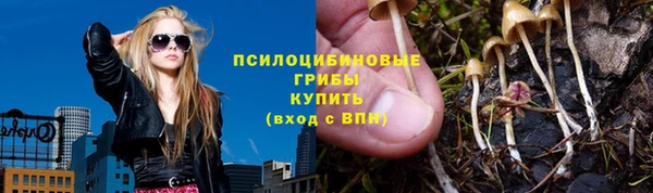 мяу мяу мука Алексеевка