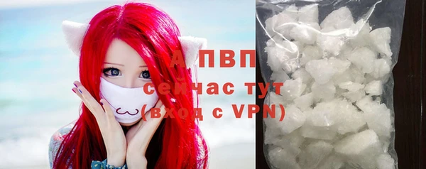 сатива Абинск
