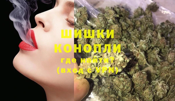 сатива Абинск